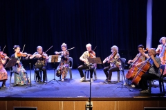 ensemble-a-cordes-concert-des-profs