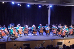 1_ensemble-de-violoncelles-a-mettre-stp-